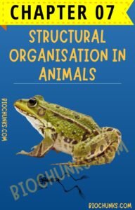 Structural Organisation in Animals Chapter 07 Class 11th biochunks.com