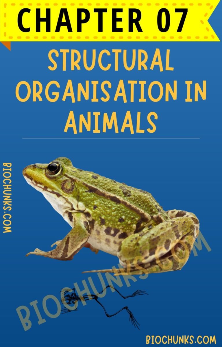 Structural Organisation in Animals Chapter 07 Class 11th biochunks.com