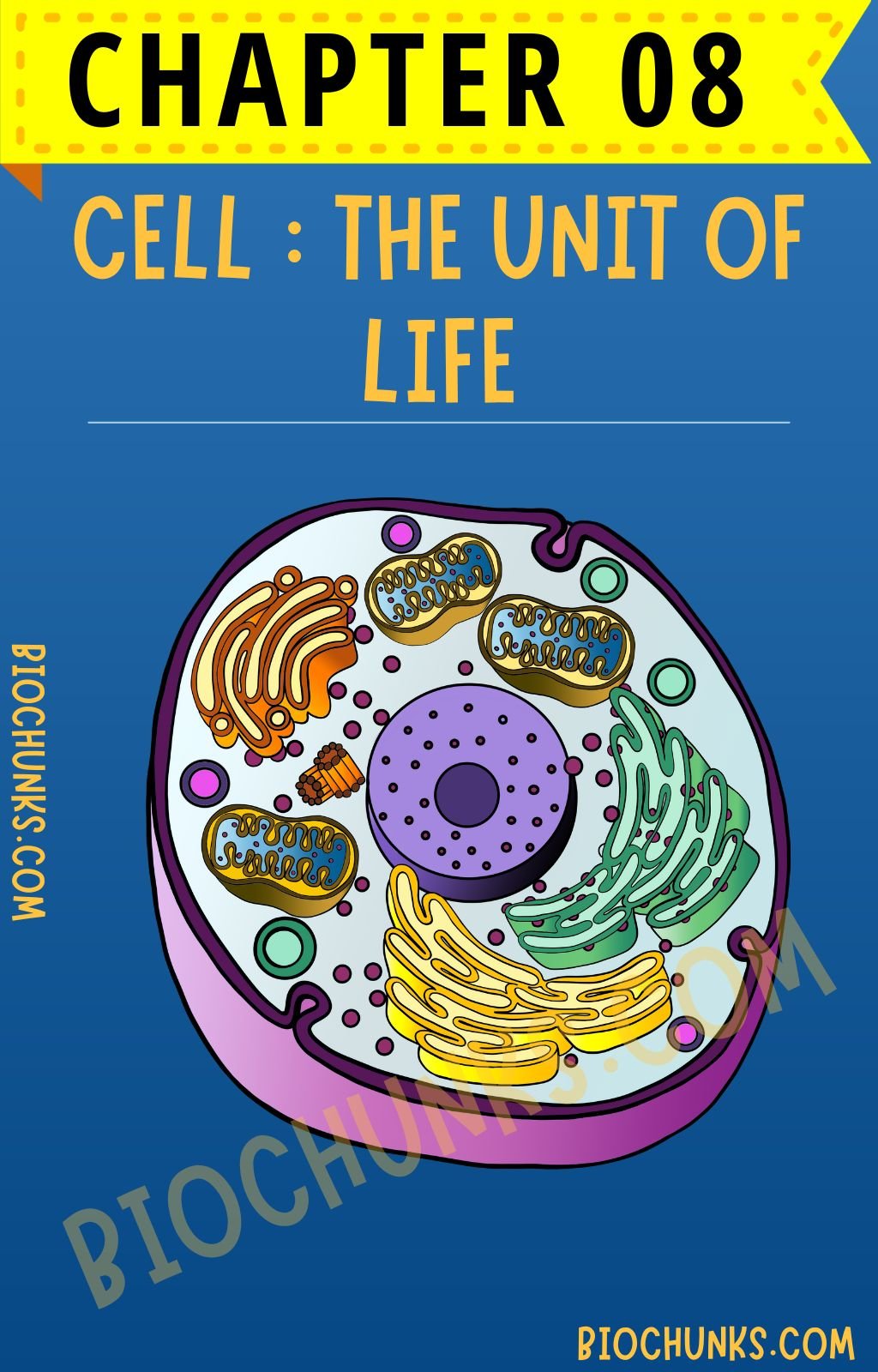 Cell : The Unit of Life Chapter 08 Class 11th biochunks.com