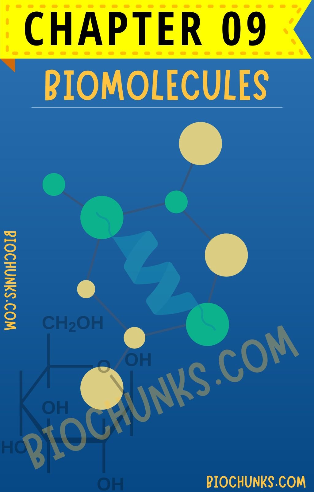 Biomolecules Chapter 09 Class 11th biochunks.com