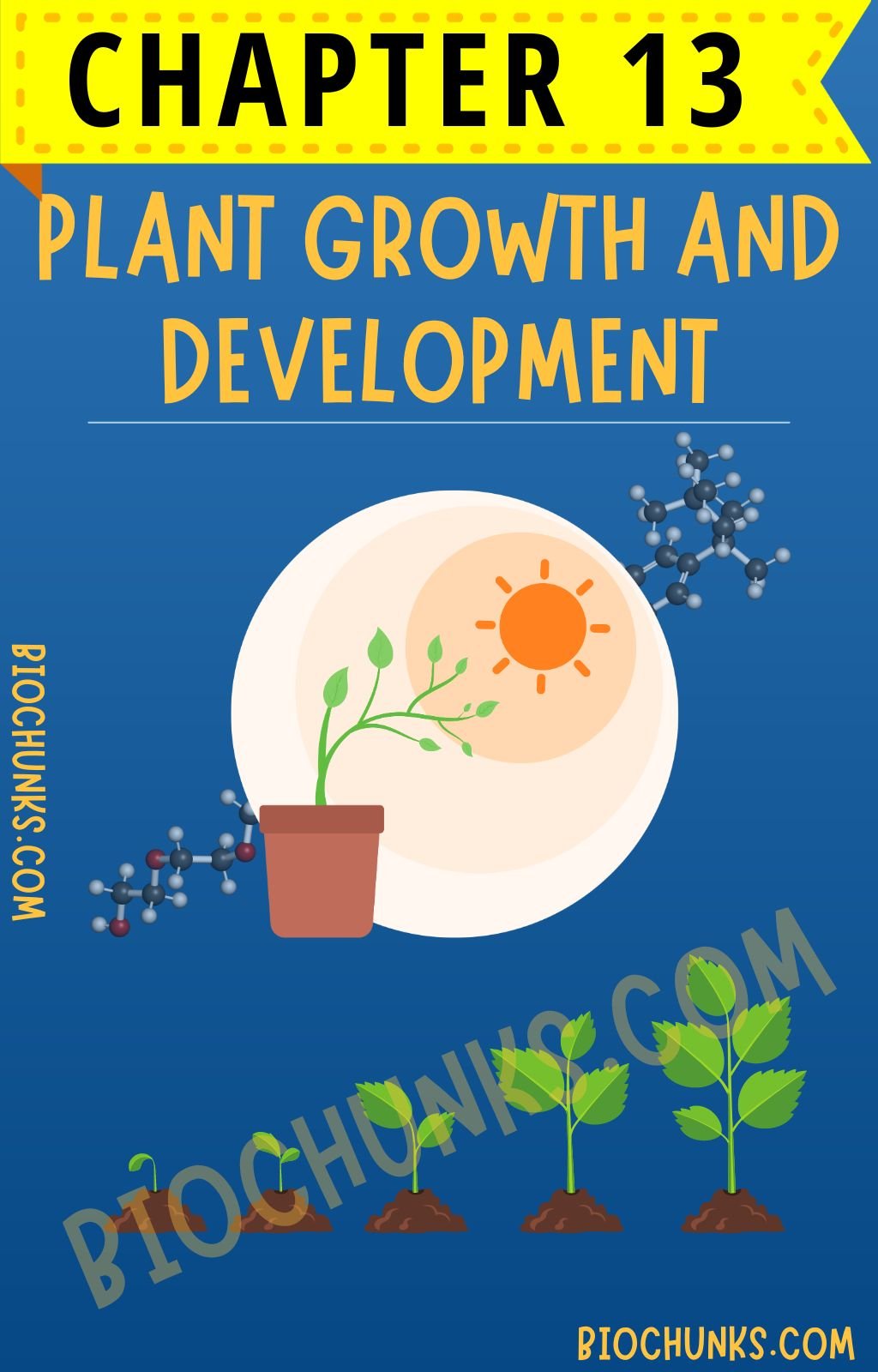 Plant Growth and Development Chapter 13 Class 11th biochunks.com