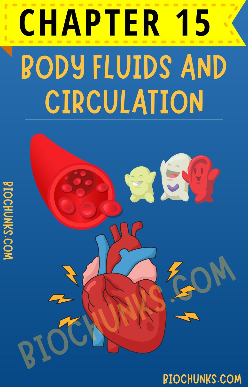 Body Fluids and Circulation Chapter 15 Class 11th biochunks.com