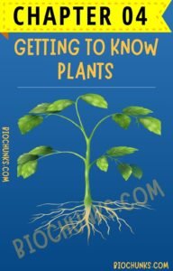 Getting to know Plants Chapter 04 Class 6th biochunks.com