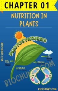 Nutrition in Plants Chapter 01 Class 7th biochunks.com