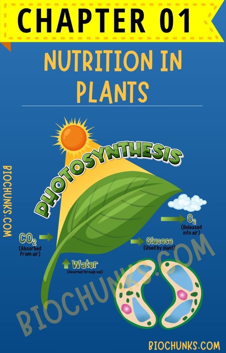 Nutrition in Plants Chapter 01 Class 7th biochunks.com