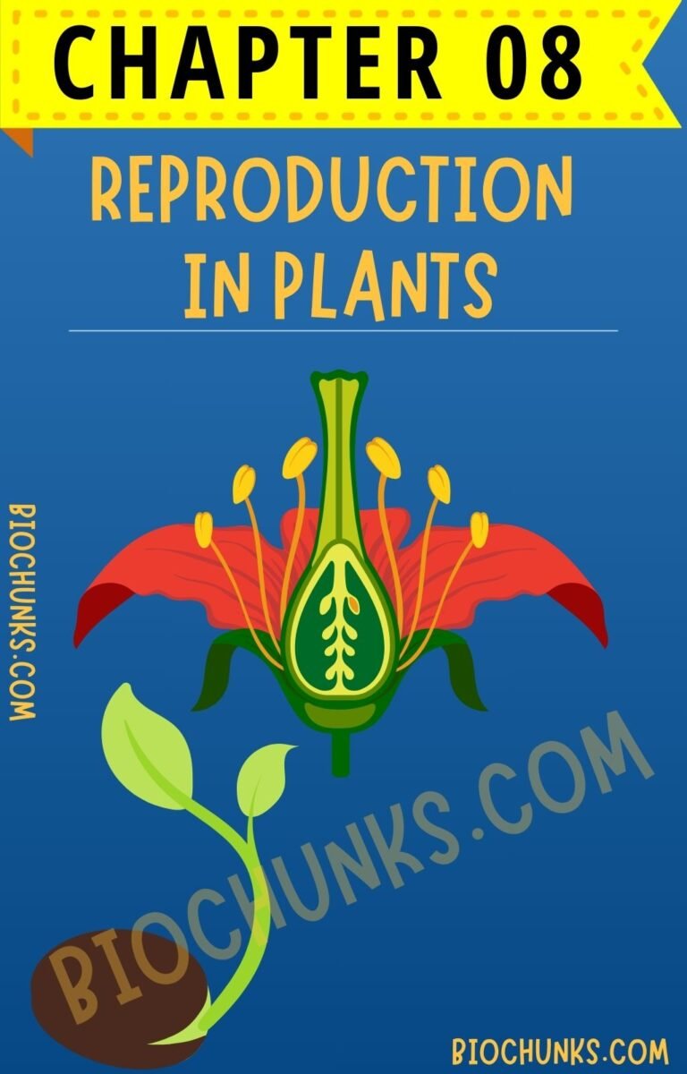 Reproduction in Plants Chapter 08 Class 7th biochunks.com