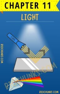 Light Chapter 11 Class 7th biochunks.com