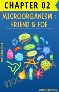 Microorganism : Friend & Foe Chapter 02 Class 8th biochunks.com