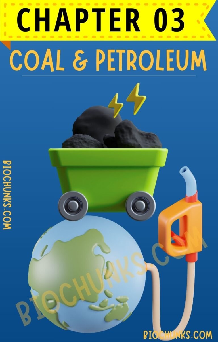 Coal & Petroleum Chapter 03 Class 8th biochunks.com