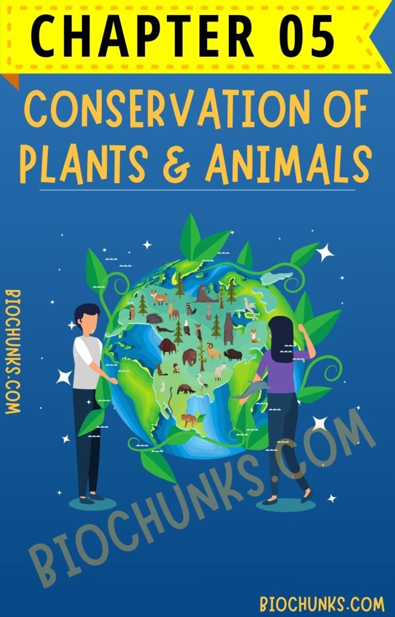 Conservation of Plants & Animals Chapter 05 Class 8th biochunks.com