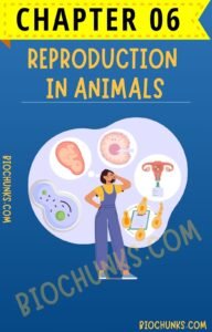 Reproduction in Animals Chapter 06 Class 8th biochunks.com