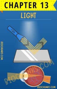 Light Chapter 13 Class 8th biochunks.com