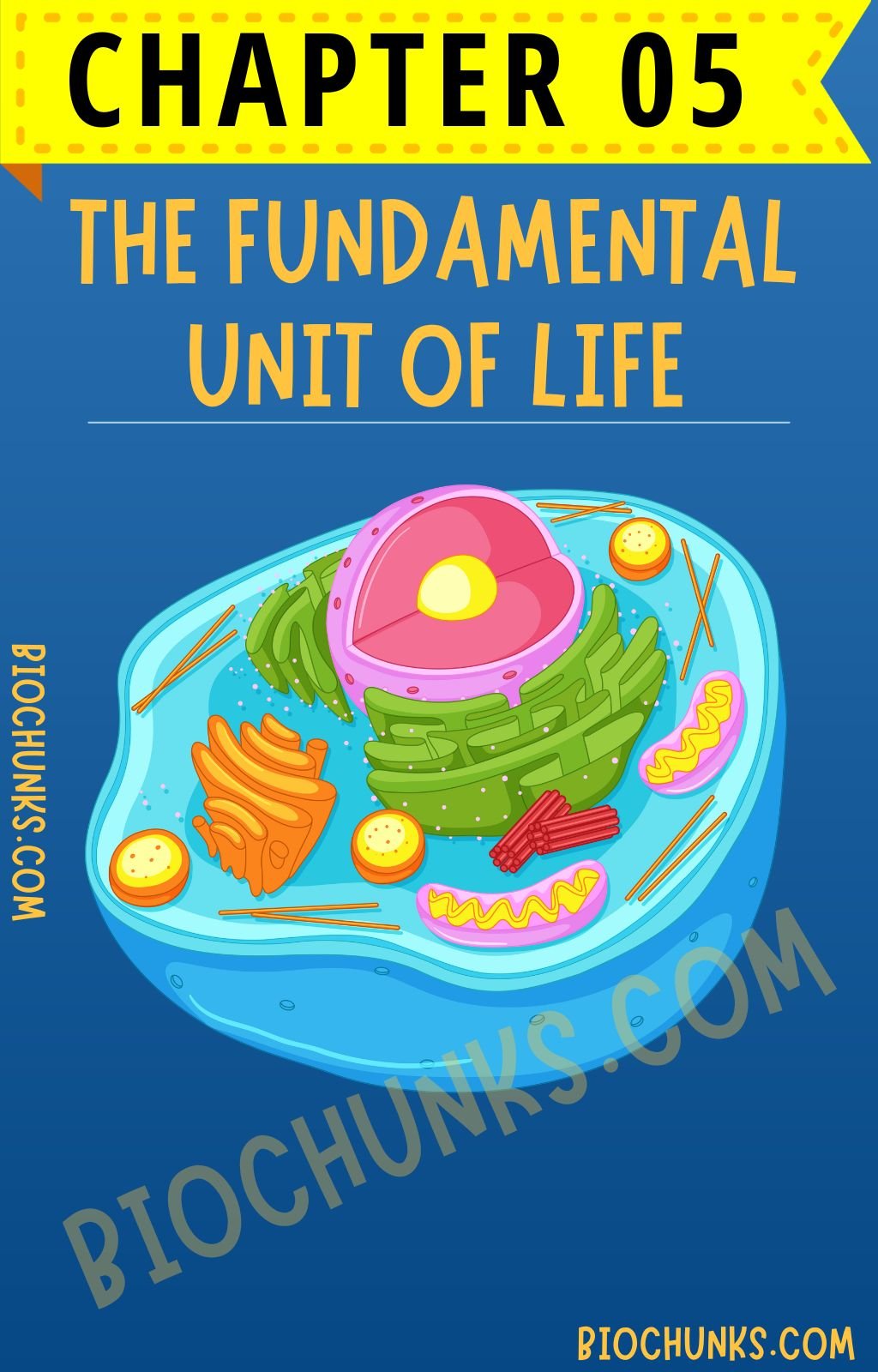 Fundamental unit of Life Chapter 05 Class 9th biochunks.com