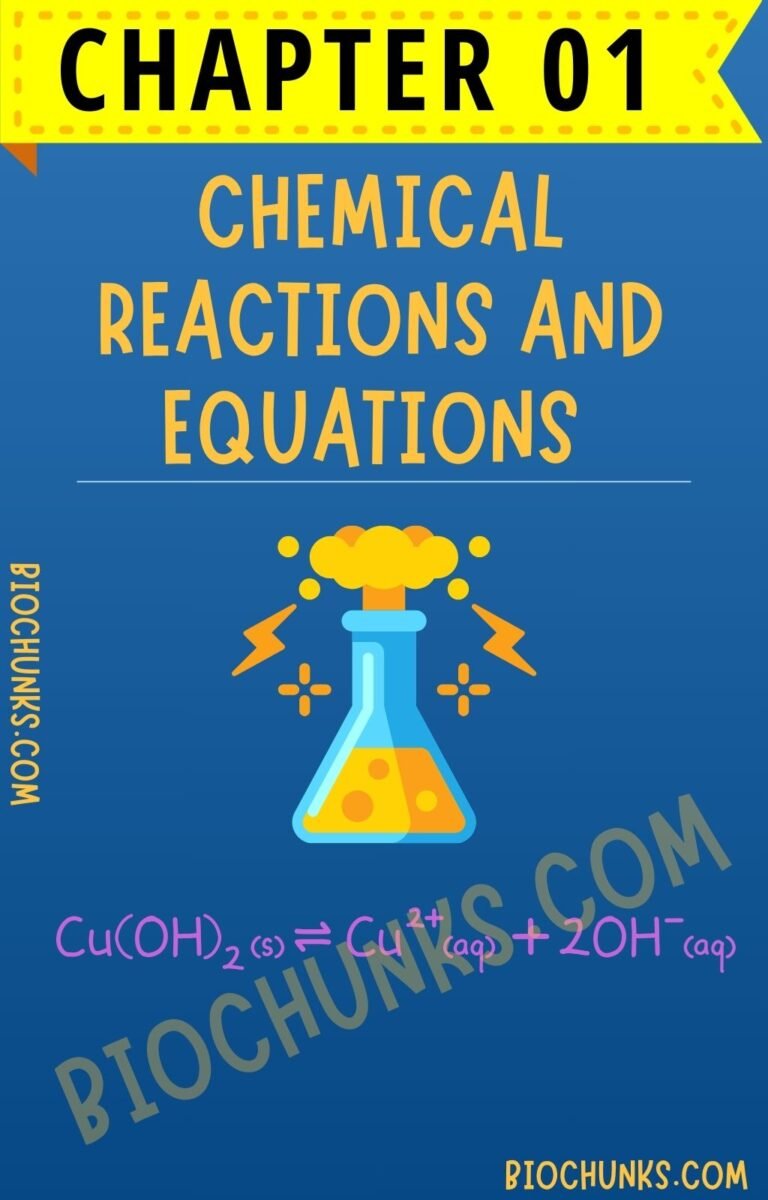 Chemical reactions & equations Chapter 01 Class 10th biochunks.com