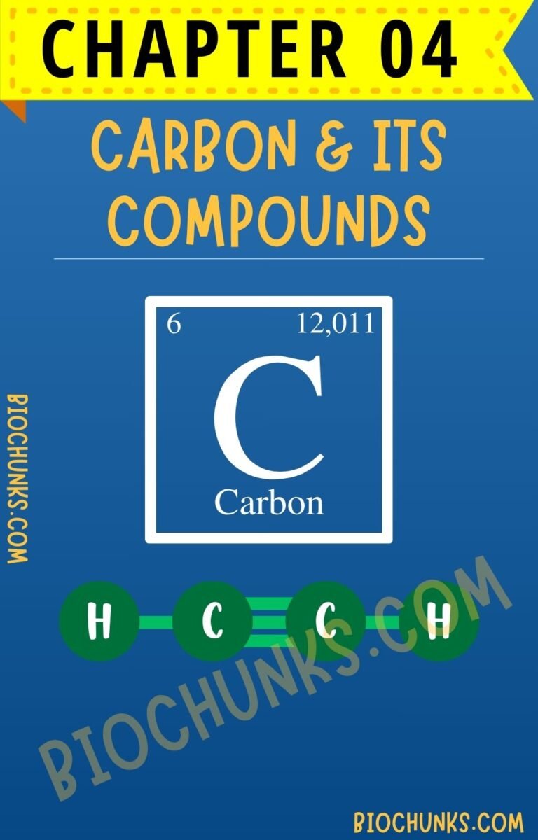 Carbon & its Compounds Chapter 04 Class 10th biochunks.com