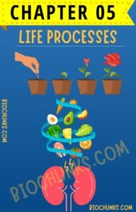 Life Processes Chapter 05 Class 10th biochunks.com