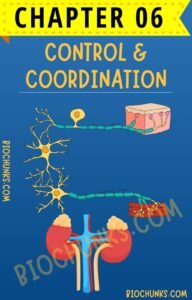 Control & Coordination Chapter 06 Class 10th biochunks.com