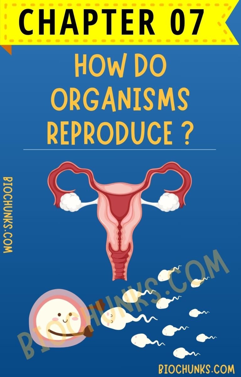 How do Organisms Reproduce? Chapter 07 Class 10th biochunks.com