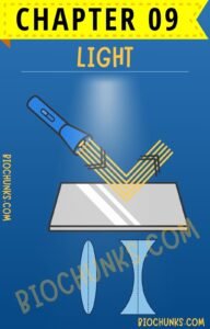 Light Chapter 09 Class 10th biochunks.com