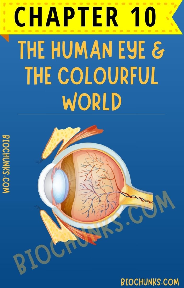 The Human Eye & Colourful World Chapter 10 Class 10th biochunks.com