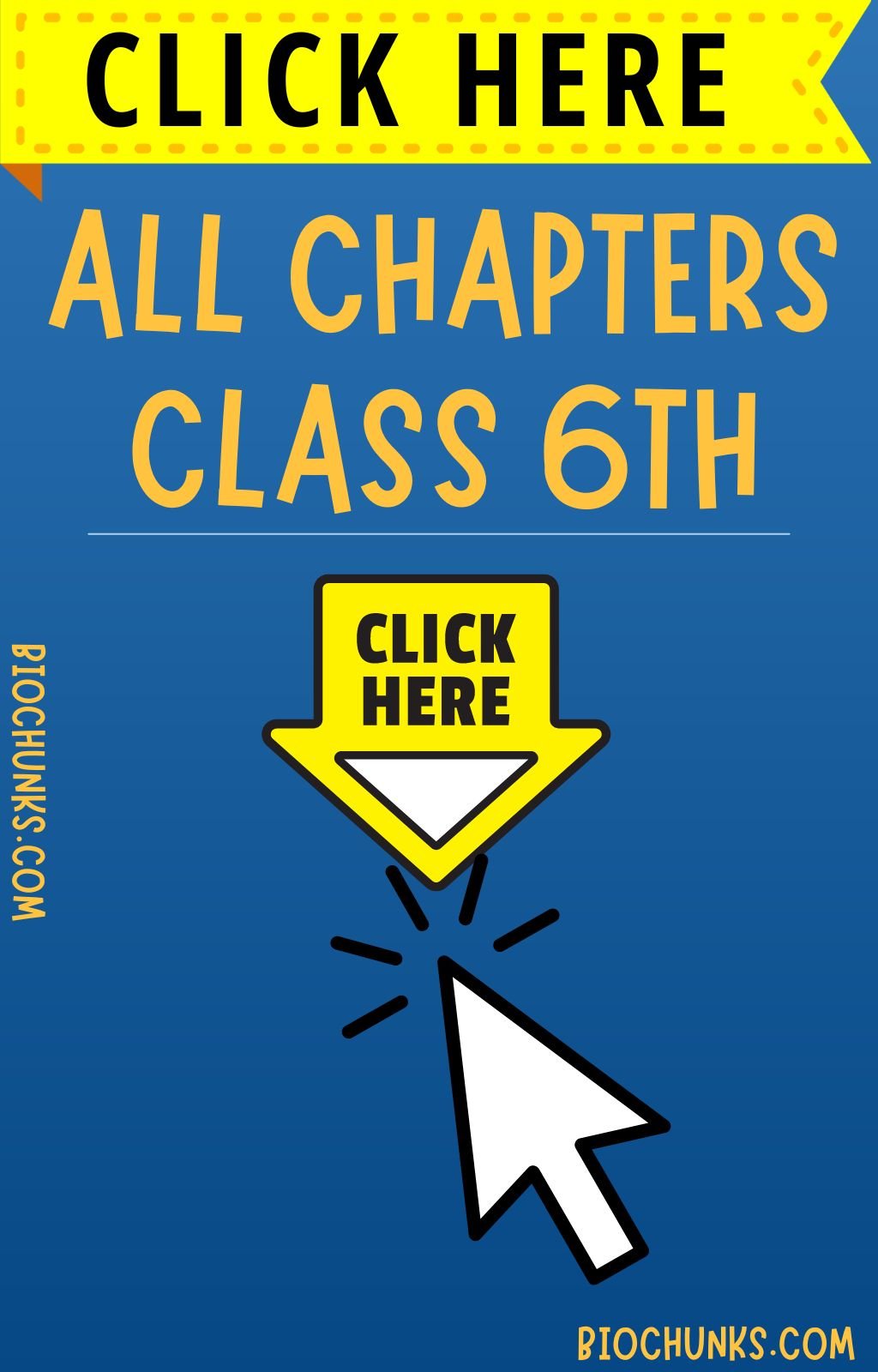 class 6th all chapters biochunks.com