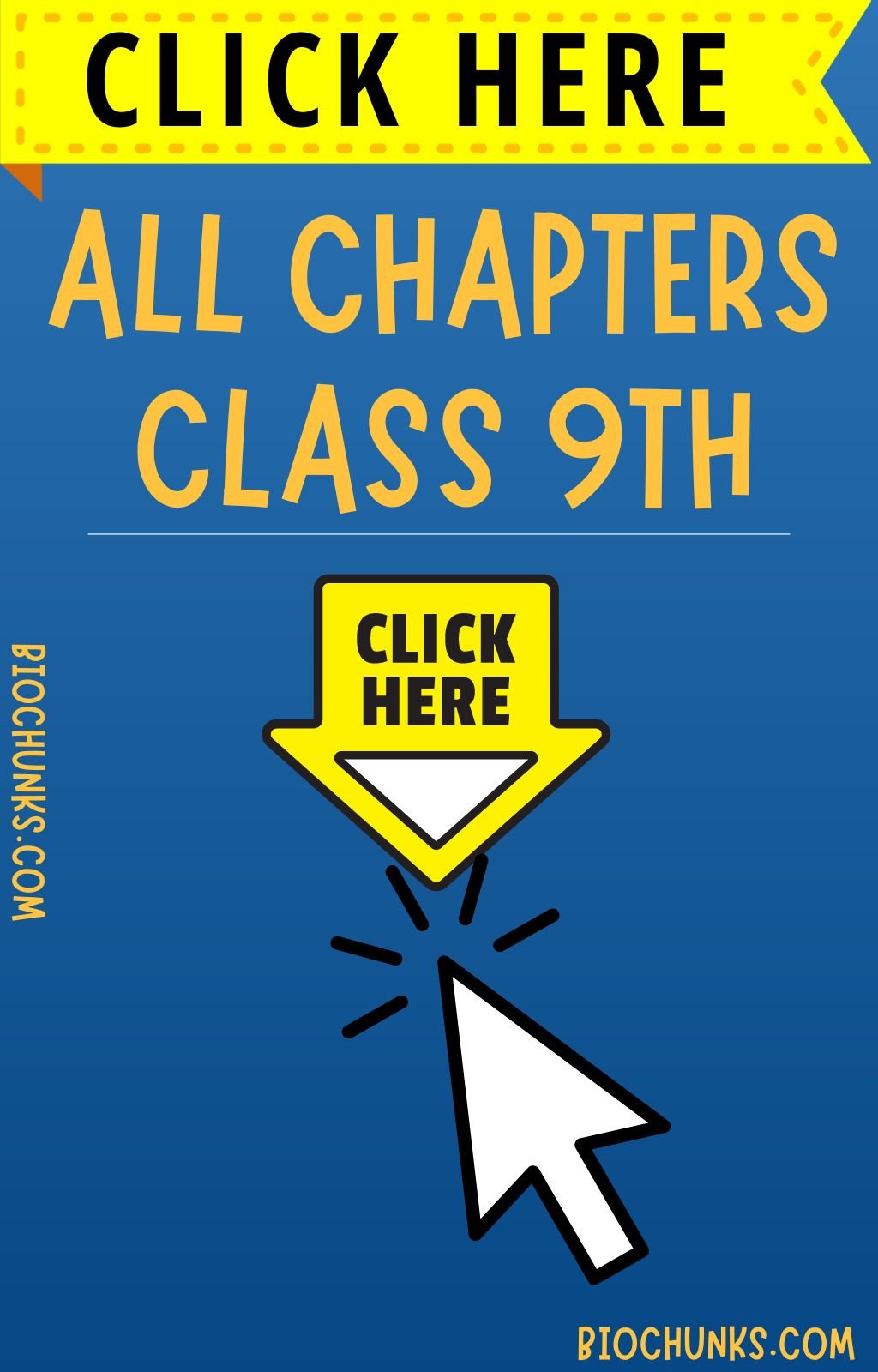 class 9th all chapters biochunks.com