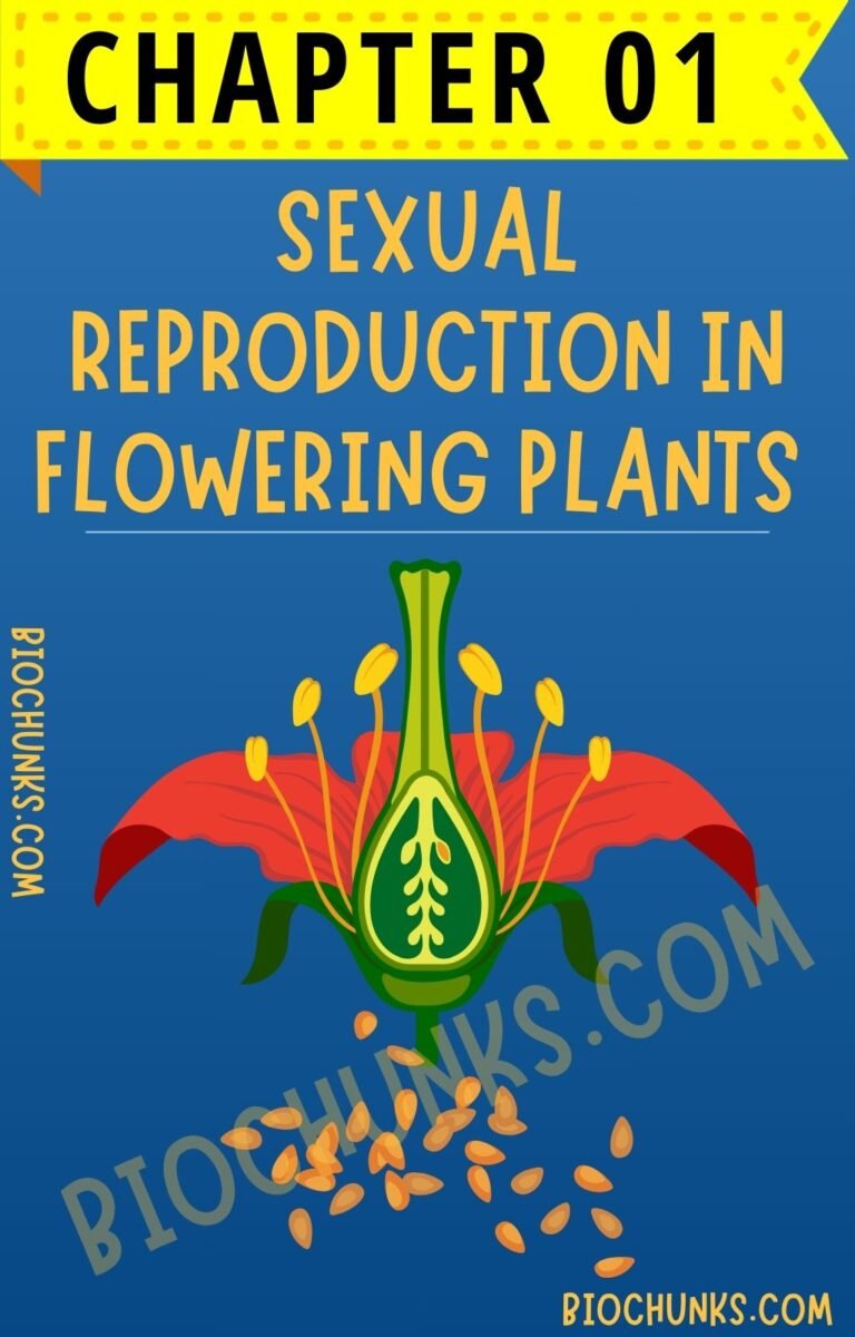 Sexual Reproduction in Flowering Plants Chapter 01 Class 12th biochunks.com