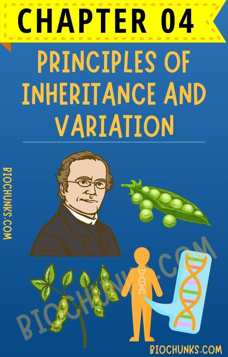 Principles of Inheritance and Variation Chapter 04 Class 12th biochunks.com