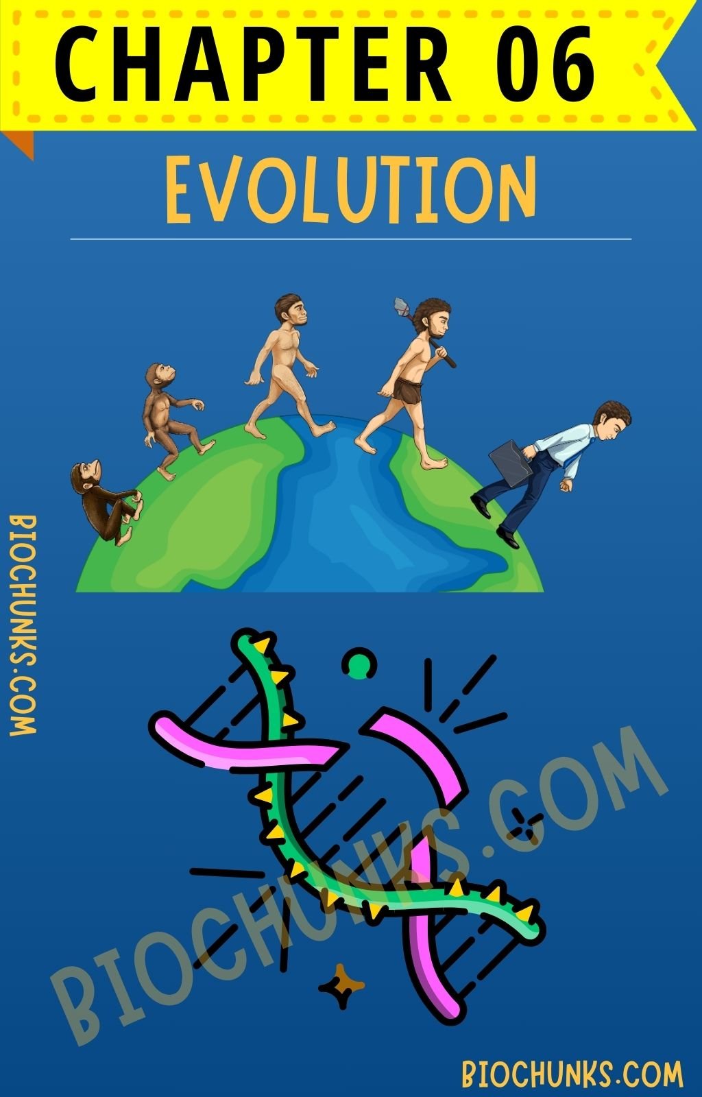 Evolution Chapter 06 Class 12th biochunks.com