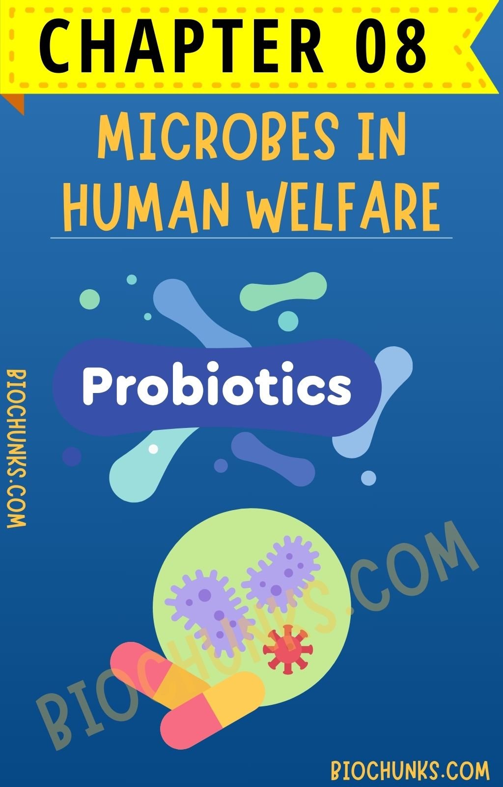 Microbes in Human Welfare Chapter 08 Class 12th biochunks.com