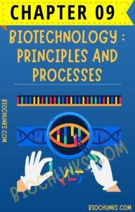 Biotechnology : Principles and Processes Chapter 09 Class 12th biochunks.com