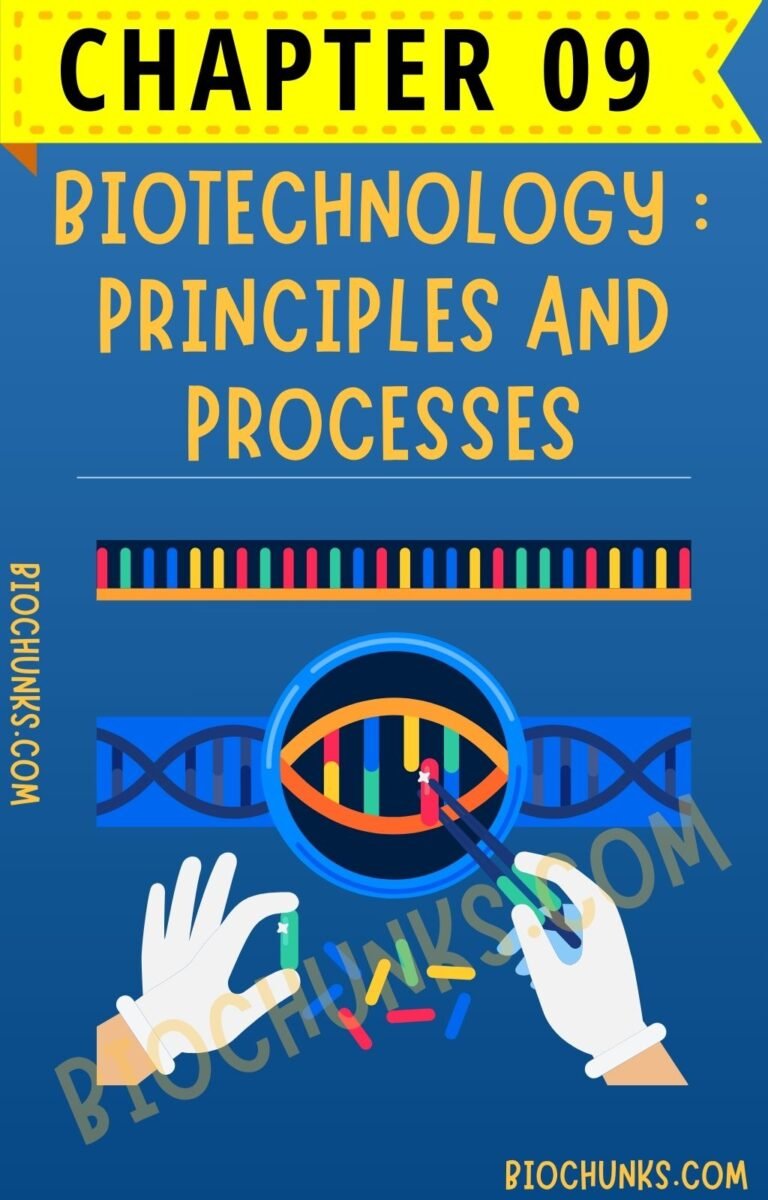 Biotechnology : Principles and Processes Chapter 09 Class 12th biochunks.com