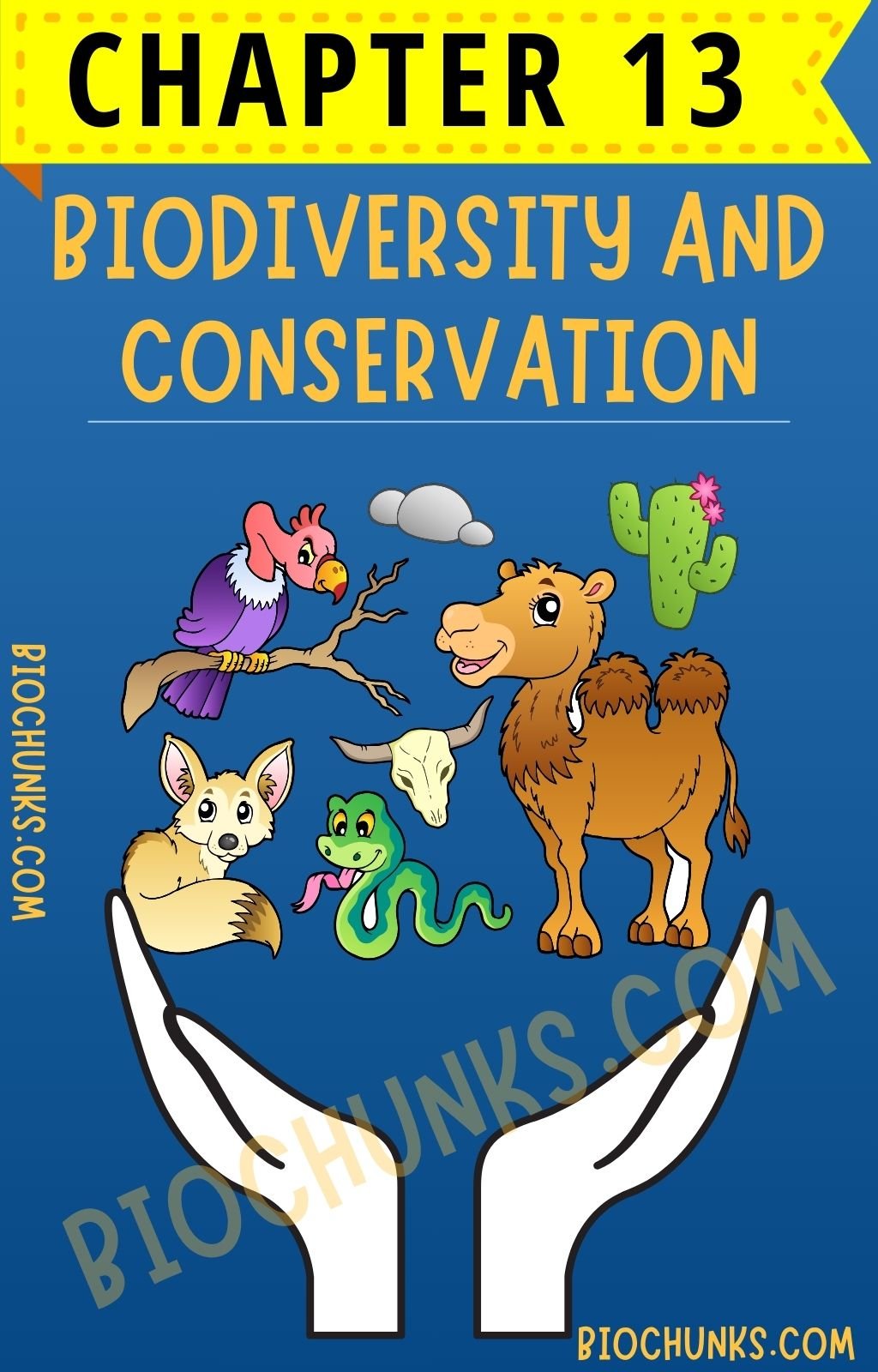 Biodiversity and Conservation Chapter 13 Class 12th biochunks.com