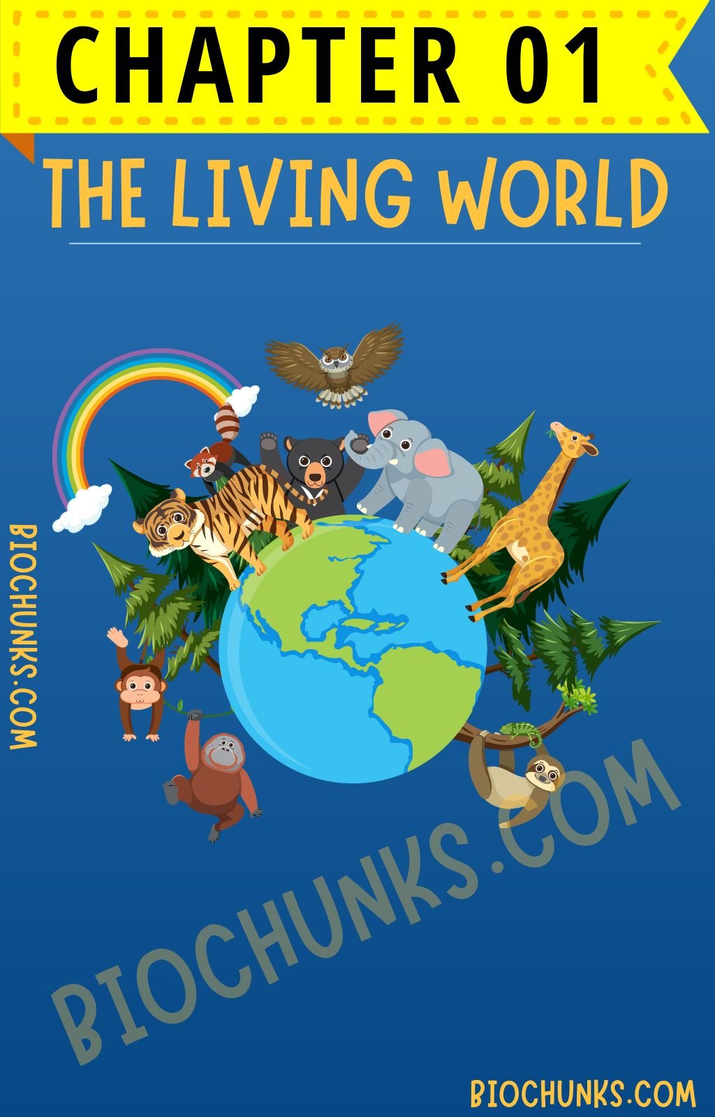 The Living World Chapter 01 Class 11th biochunks.com