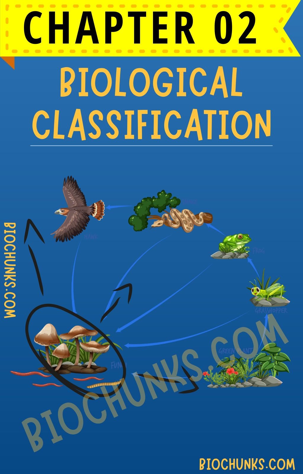 Biological Classification Chapter 02 Class 11th biochunks.com