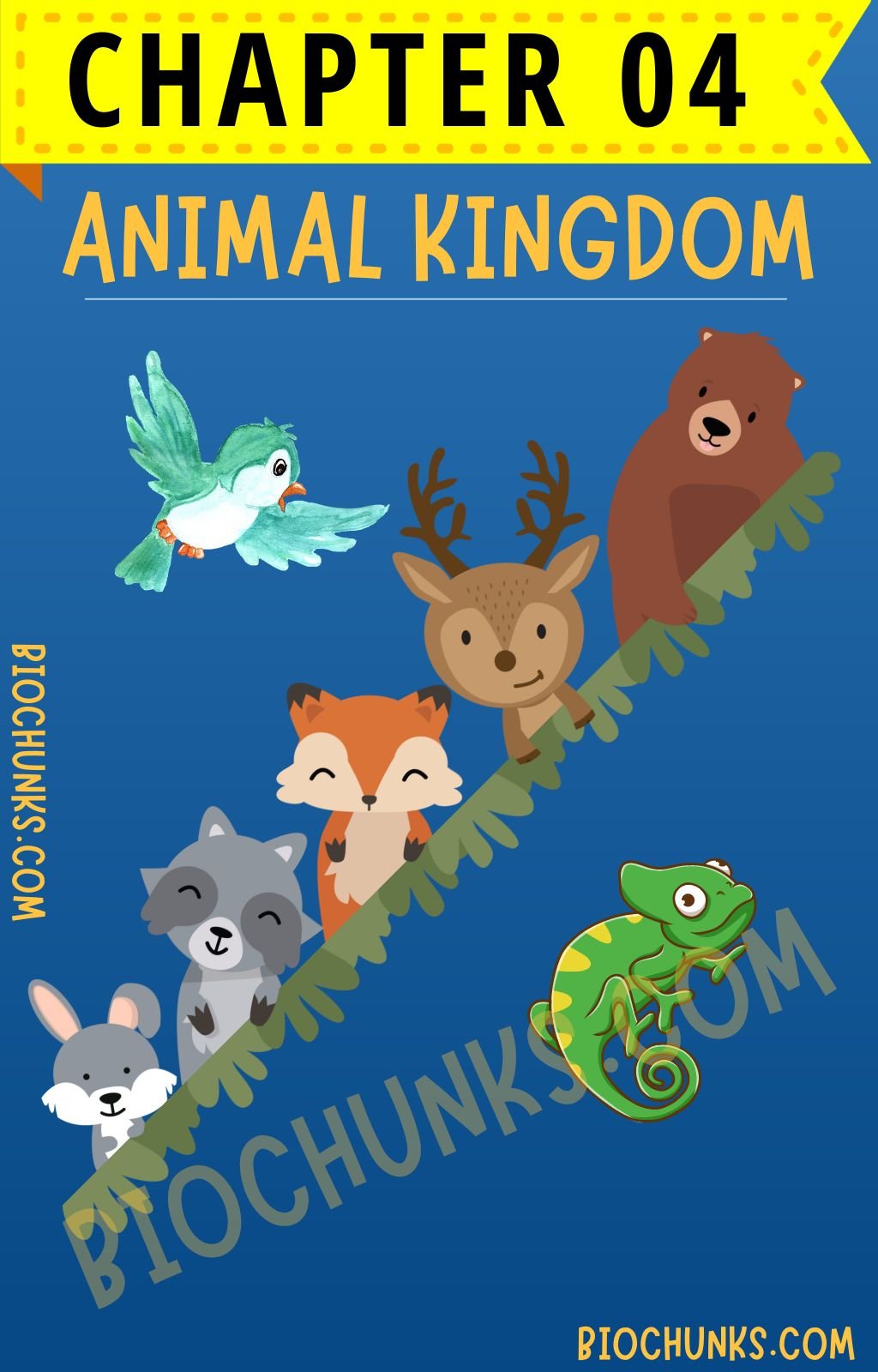 Animal Kingdom Chapter 04 Class 11th biochunks.com