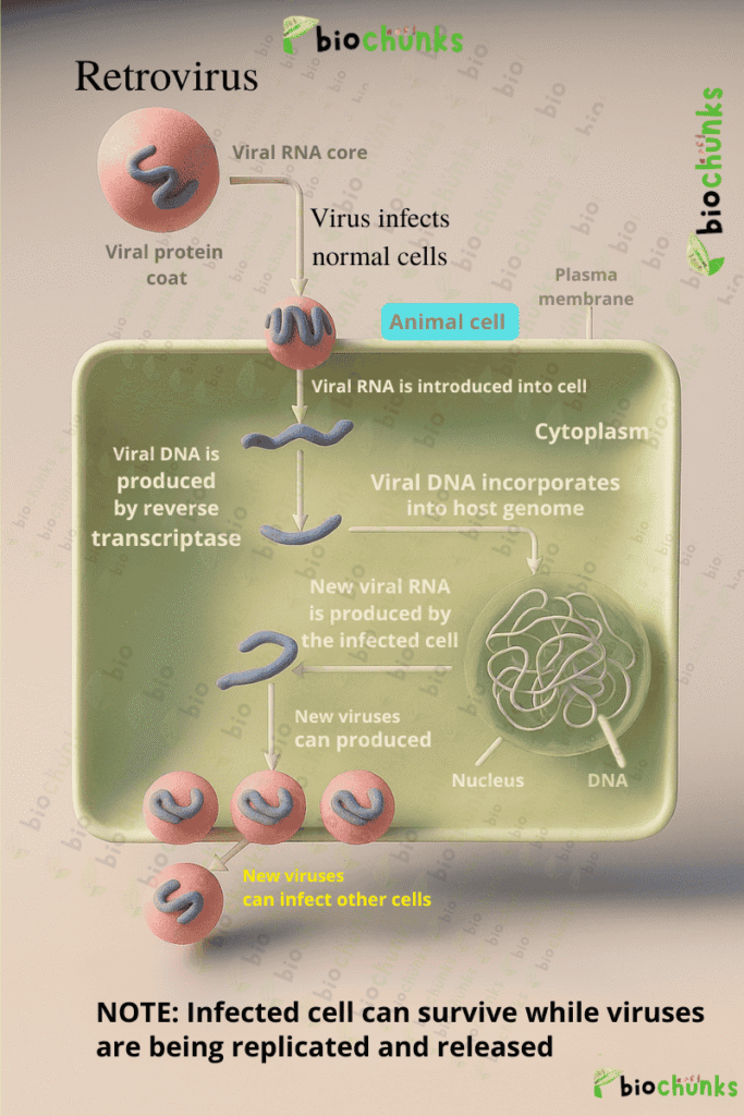 Human Health and Disease