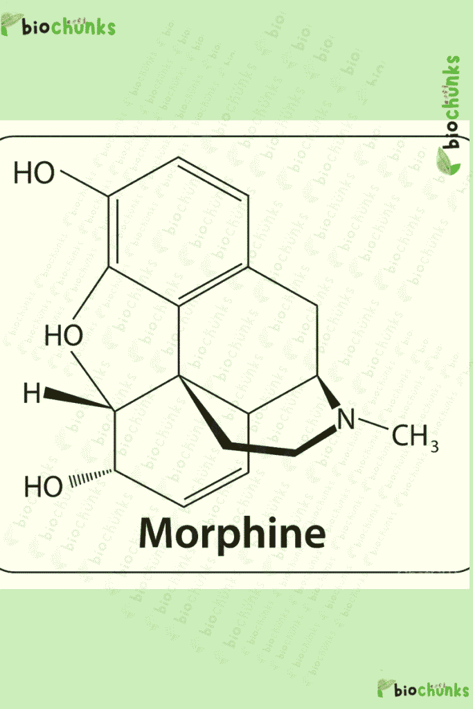 Human Health and Disease