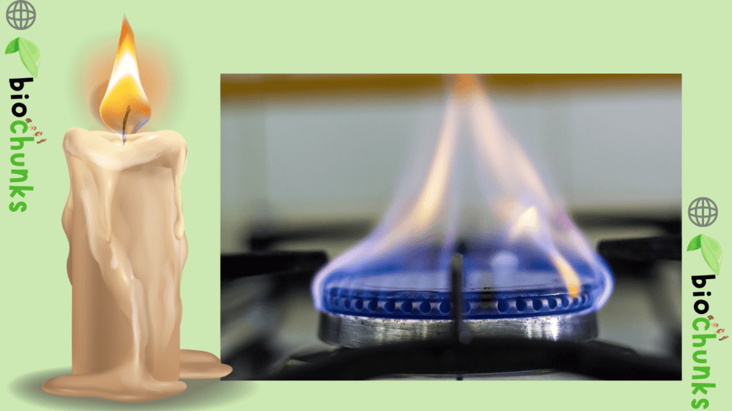 Combustion and Flame