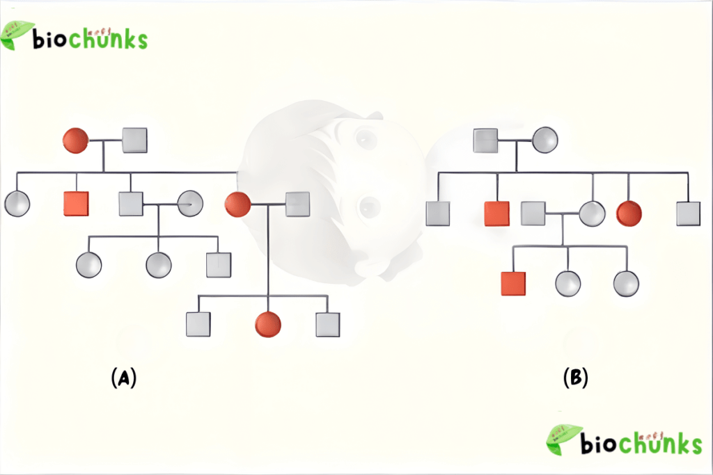 Principles of Inheritance and Variation