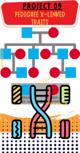 Pedigree X-Linked Traits