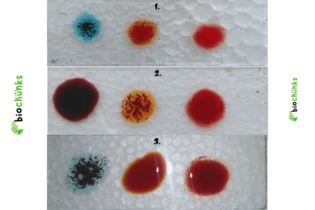 ABO-Blood-Grouping