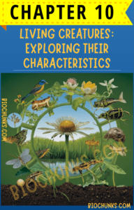 Living Creatures Exploring their Characteristics